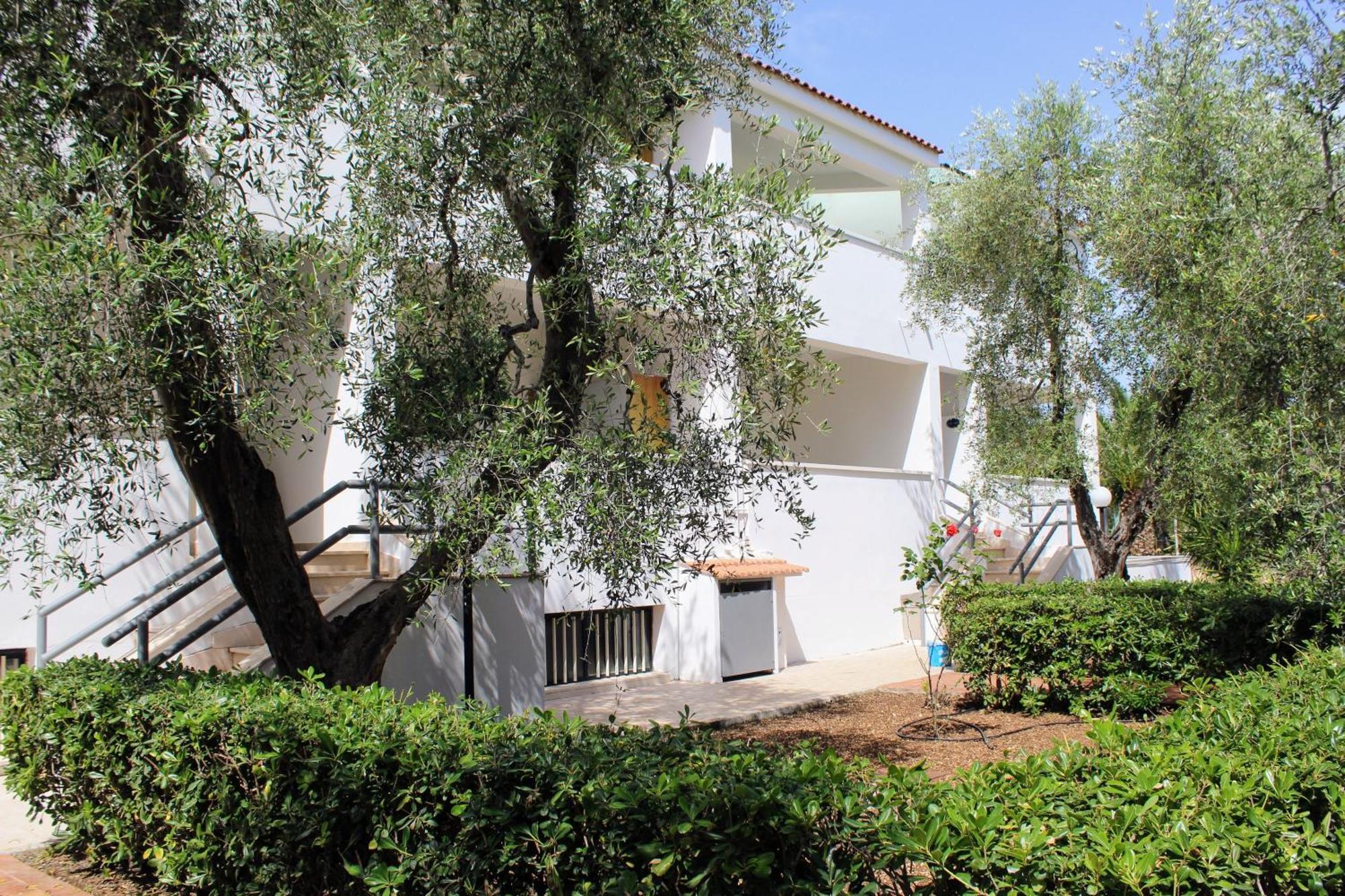 Hotel Palme Gemelle Vieste Exterior photo